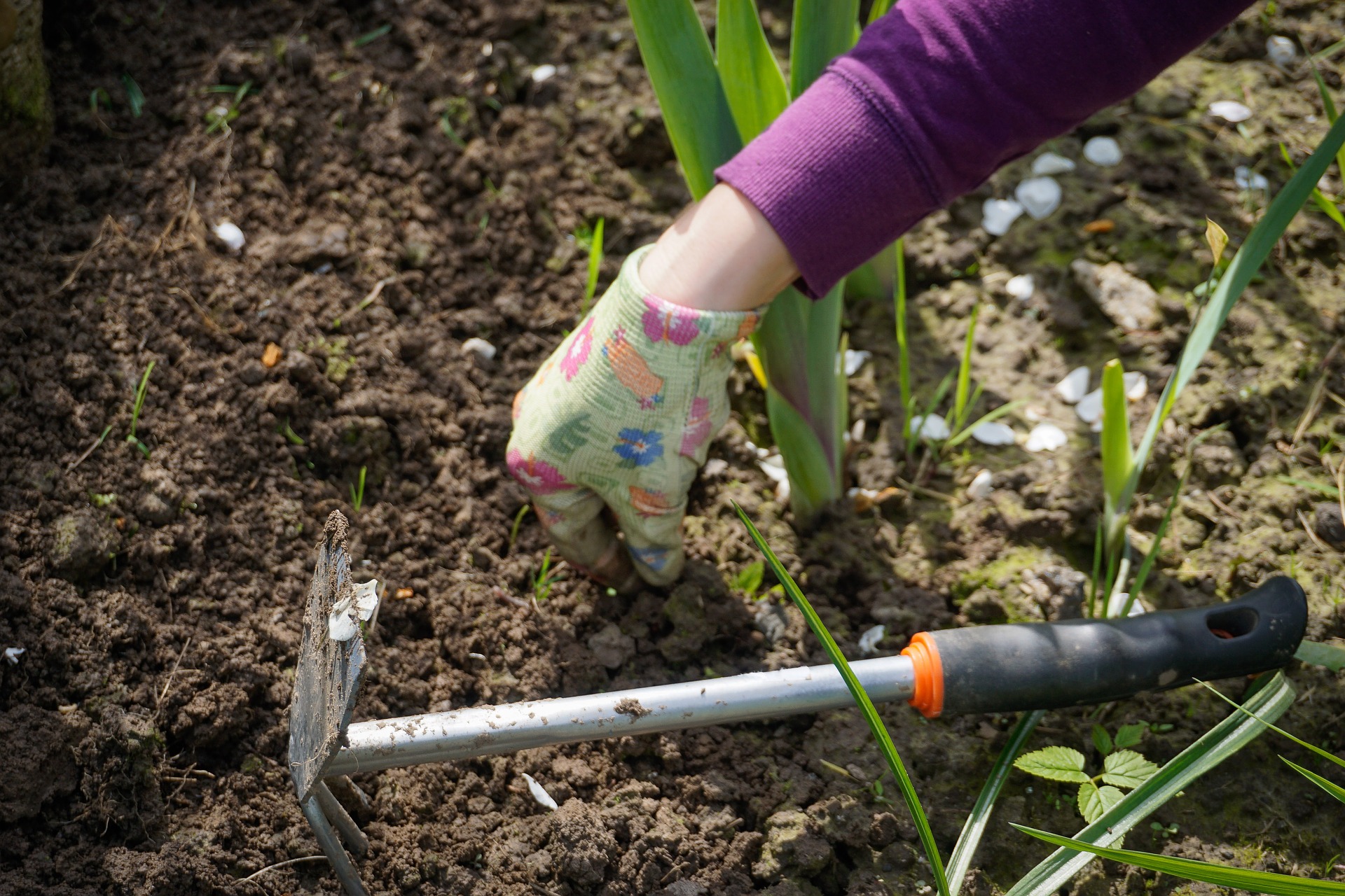 Make Plants Your Personal Trainer On National Gardening Exercise Day June 6 Good Earth Plants