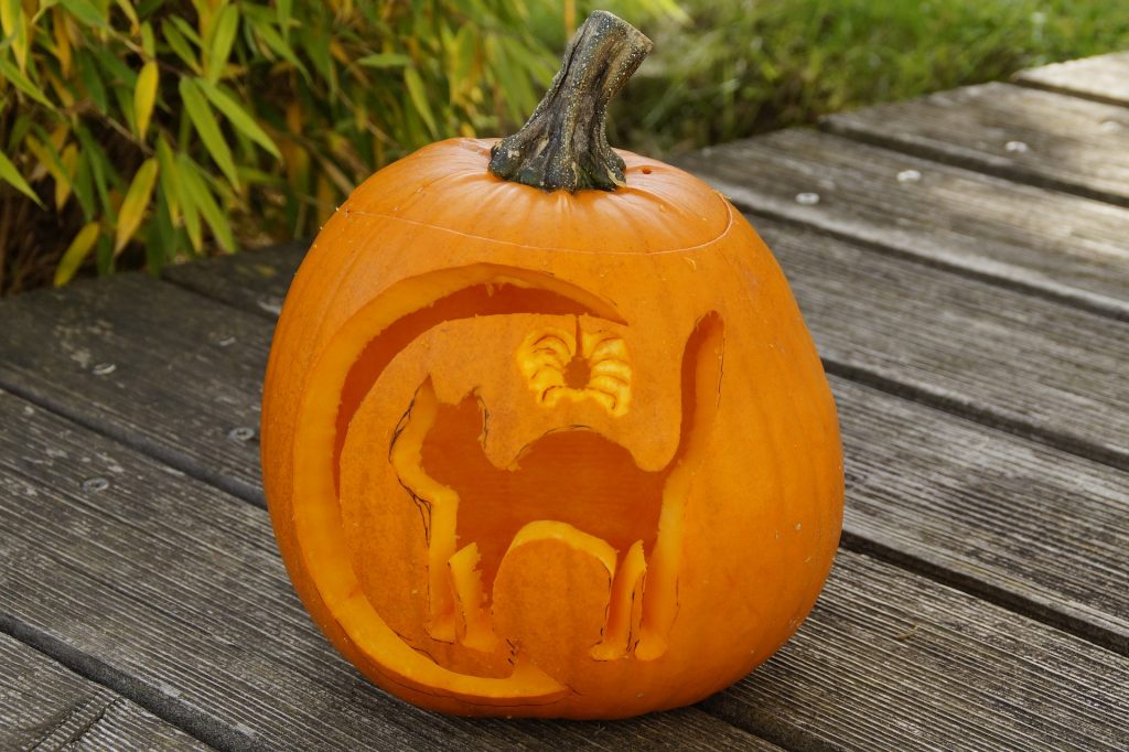 Go Green This Halloween - Recycle Your Pumpkins - Good Earth Plants