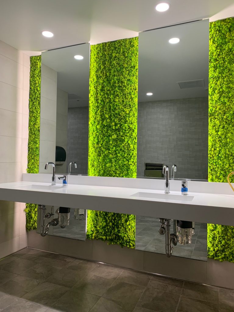 In the process of making a living moss wall for my bathroom : r/Moss