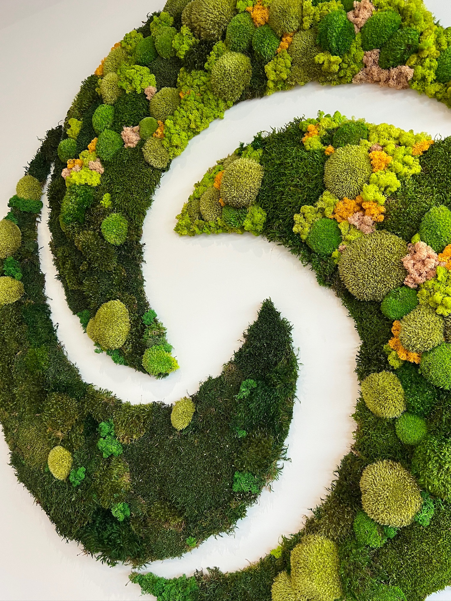 New moss wall instillation with varying colors and textures.