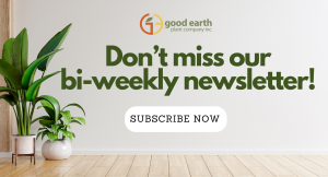 Good Earth Newsletter Banner
