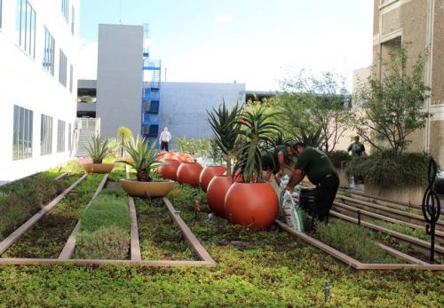 Sharp Memorial Hospital Green Roof