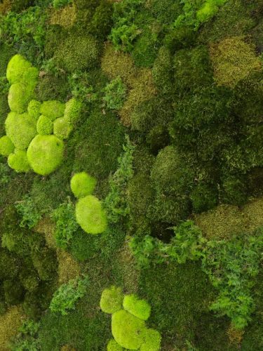 Business Lobby Moss Details