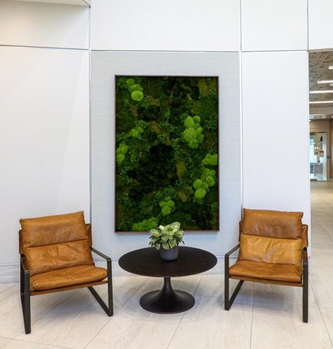 Business Lobby Moss Wall
