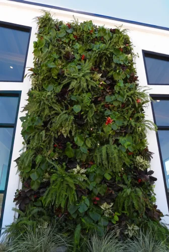 Encinitas-Fox-Point-Farms-Exterior-Living-Wall-1 (1)