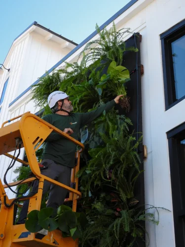 Encinitas-Fox-Point-Farms-Exterior-Living-Wall-3