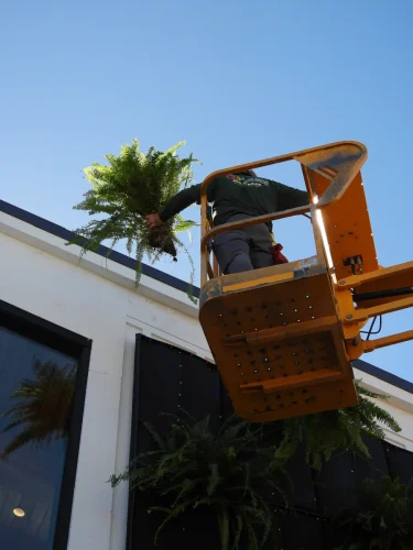 Encinitas-Fox-Point-Farms-Exterior-Living-Wall-4
