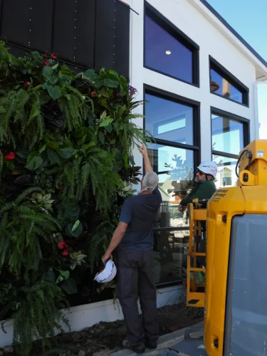 Encinitas-Fox-Point-Farms-Exterior-Living-Wall-5