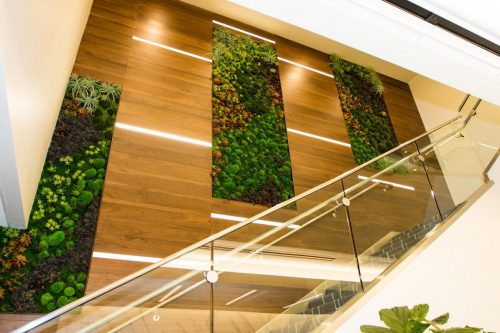 Mission Federal Credit Union Replica Wall